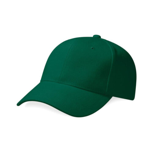 Pro-Style Heavy Brushed Cotton Cap